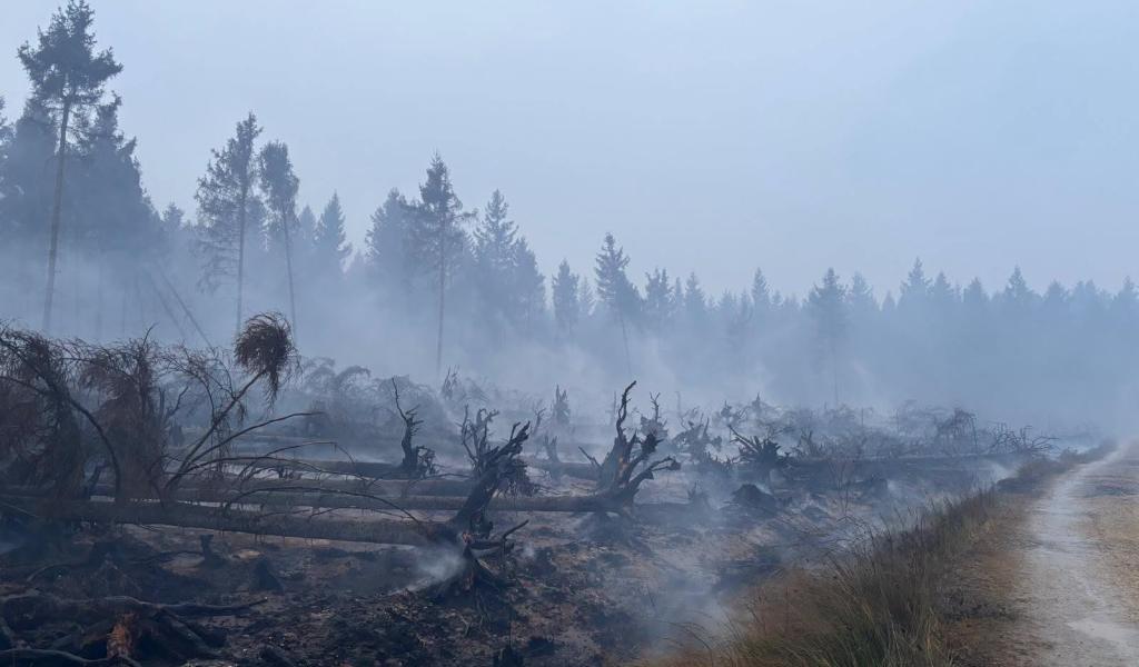 Fagnes : la situation en début de 6è jour de combat contre les flammes