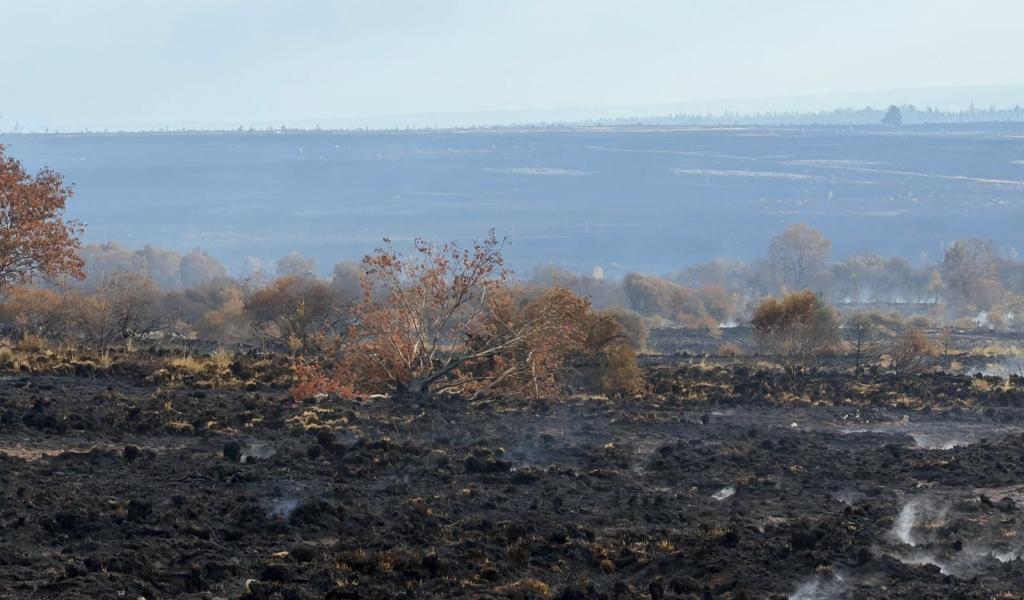 Fagnes : le point en début de journée ce jeudi 20 août