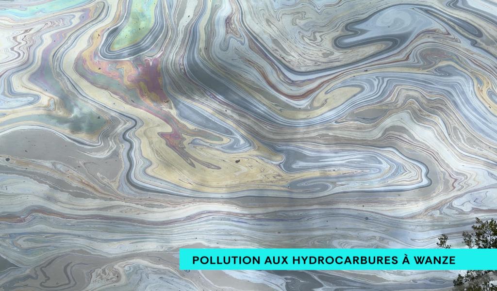 Pollution aux hydrocarbures dans la Meuse à Bas-Oha (Wanze) : "Ça peut être de l'huile ou du mazout"