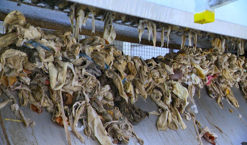 Les lingettes à usage unique, biodégradables ou non, créent quotidiennement des bouchons dans nos stations d'épuration