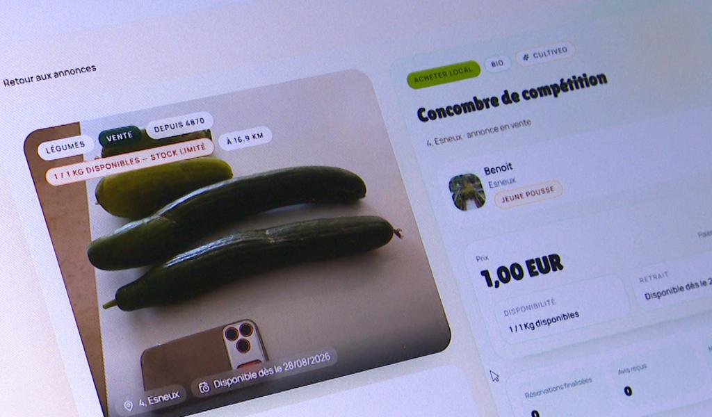 Cultiveo.be : une plateforme pour échanger le surplus de ses récoltes