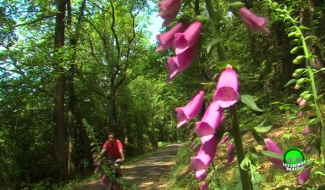 Les chemins de Ravel : Saint Vith