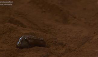 Rat des villes, rat des champs: Le chocolat