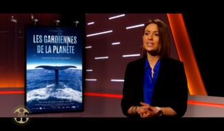 CUT, les sorties de cette semaine ! 