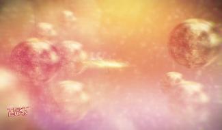 I Love Les Testeurs disco (2/6)