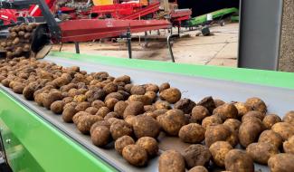 La famille Comijn ouvre son premier magasin à Verlaine