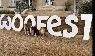 Le Woofest