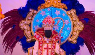 50 costumes uniques du carnaval de Rio