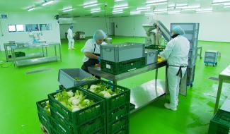 Premier hub alimentaire dédié aux circuits courts à Liège