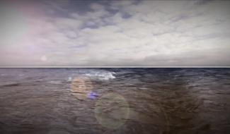 Rat des villes, rat des champs