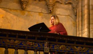 Festival d'orgue : concert exceptionnel de Noël