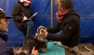 Resto du Coeur : un Noël solidaire pour tous, même les animaux