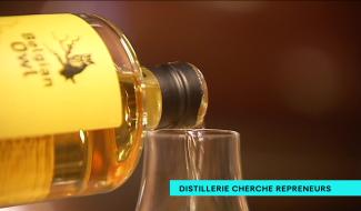 Distillerie cherche repreneurs