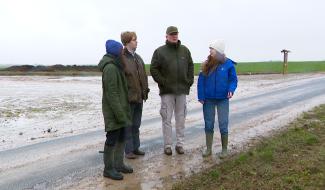 Hannut: des agriculteurs veulent réintégrer les haies en Hesbaye