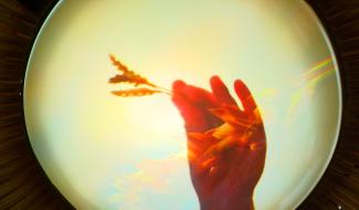 Du grain au pain : visite immersive au Moulin de Ferrières