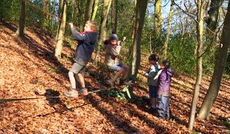 Un stage Koh Lanta pour les jeunes dans les bois