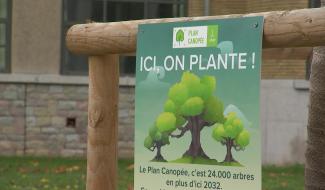 Plan Canopée : Plantation du 5 000e arbre dans l'espace public