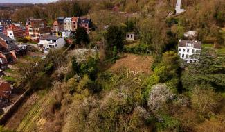 Côteaux de la Citadelle : pas d'élagage sans autorisation même pour l'Evêché