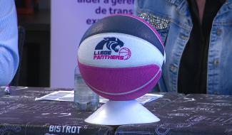 Basket: les Panthers miseront encore plus sur les jeunes