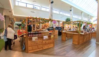 Les Eco Days au centre de l'attention à Belle-Île