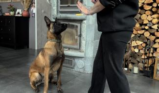 L'apprentissage du "pas bouger"