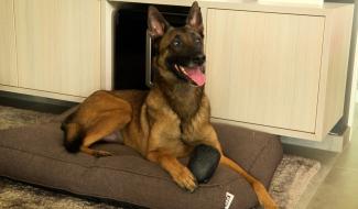 Nouvel environnement, nouvelles règles