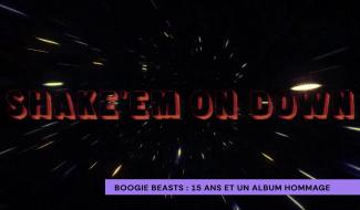 Boogie Beasts : 15 ans et un album hommage à R.L. Burnside