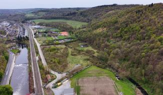 FrichNat : inventaire de la biodiversité dans les friches industrielles