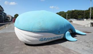 Une baleine bleue de Greenpeace débarque à Liège ce vendredi
