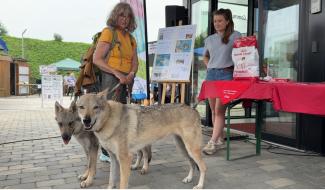 Grand succès pour la 2e édition du Dog Day de Crisnée