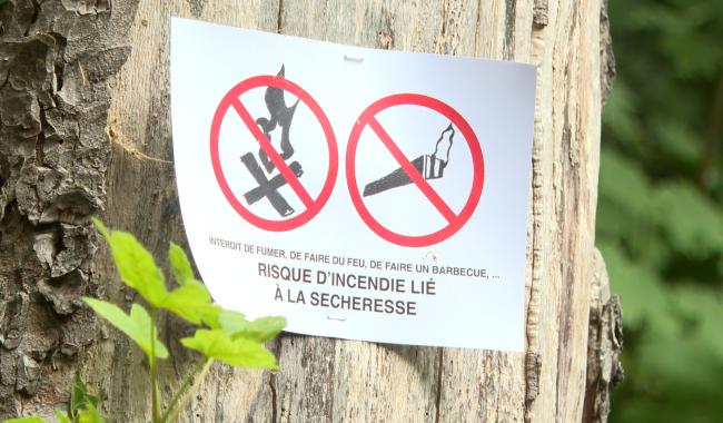Incendies dans les coteaux : Des mesures de sécurité seront prises rapidement