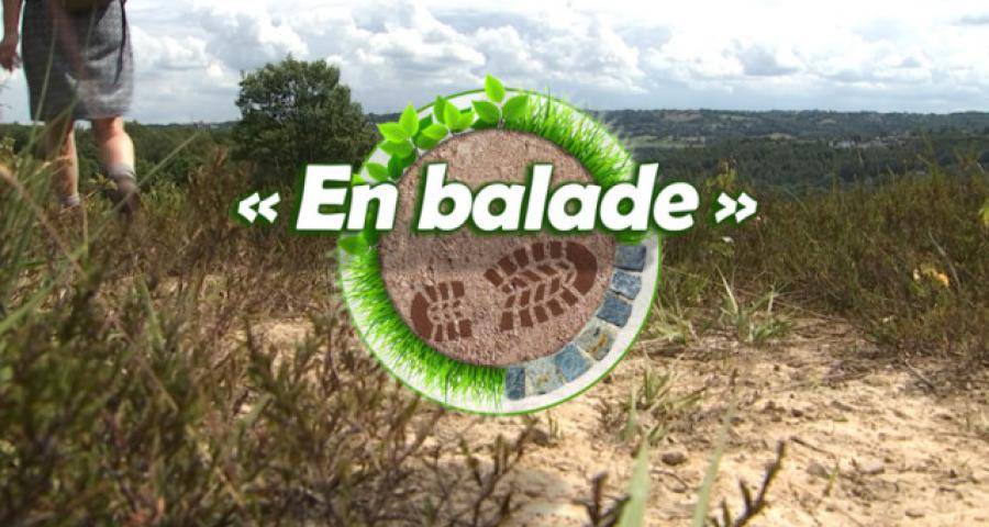 "En balade" : la balade mystère du guide "Liège à pied" 