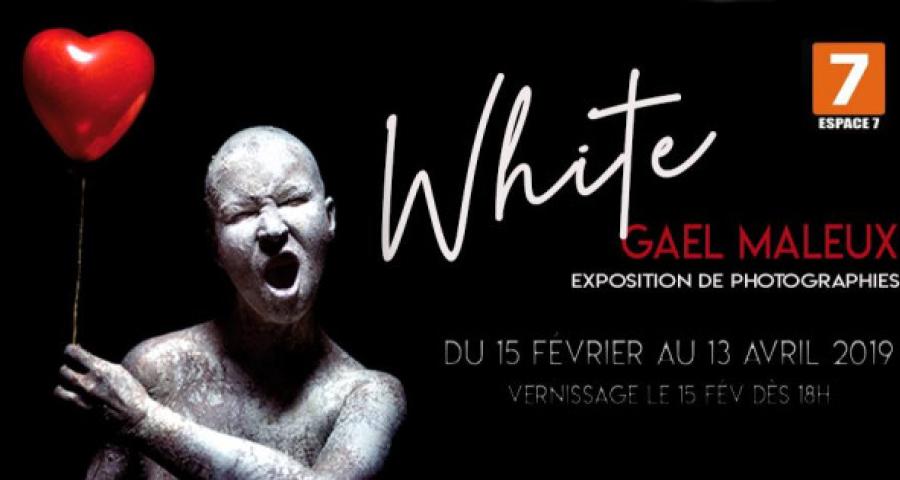 "White" : Gaël Maleux expose à l'Espace 7 