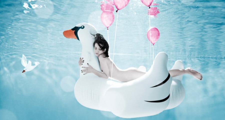 Culture L: Harry Fayt