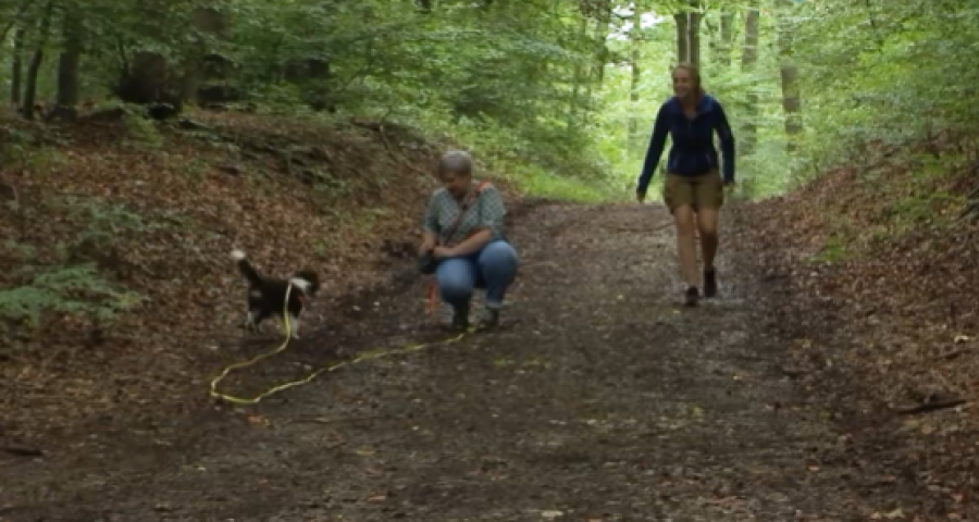 Trucs de Wouf: améliorer l'écoute à l'extérieur