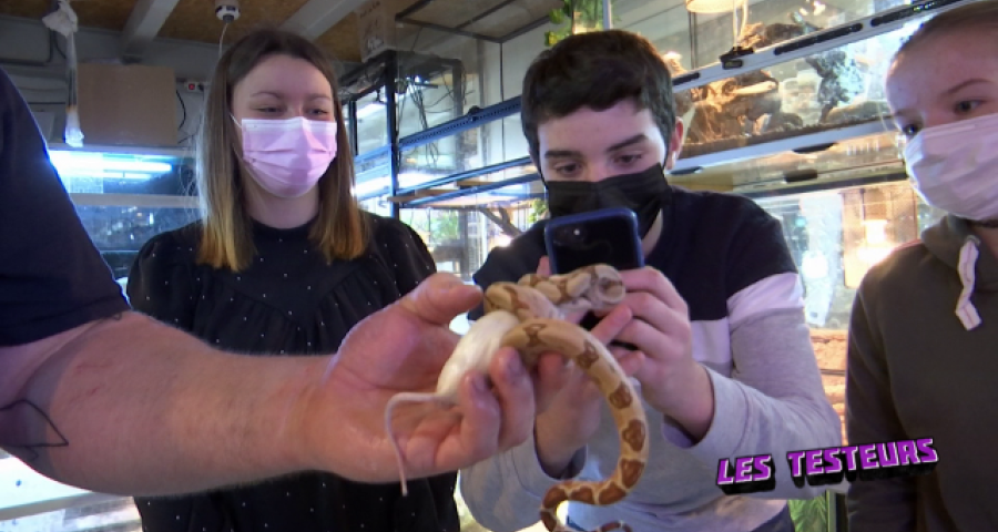 Les testeurs reprennent du poil de la bête (3)