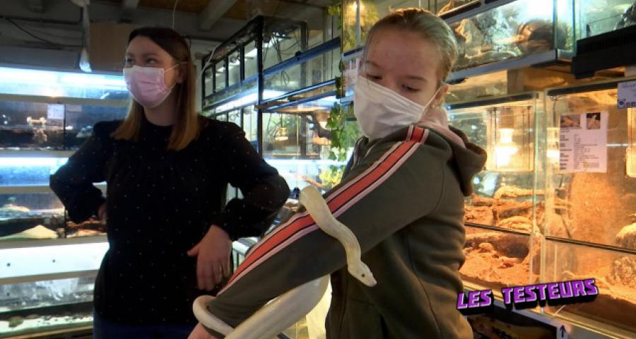 Les testeurs reprennent du poil de la bête (4)