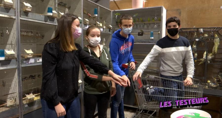 Les testeurs reprennent du poil de la bête (L'intégrale)