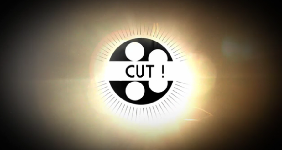 Cut N°1