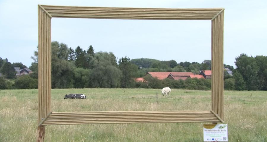 Encadrement en saule pour paysages hesbignons