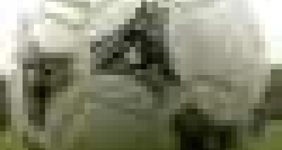 RTC Sports du dimanche 29 avril 2007