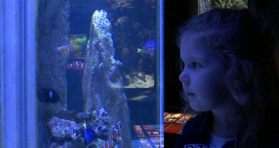 Météo changeante, bilan heureux pour l'Aquarium de Liège
