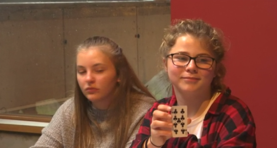 Les testeurs au cirque (4)