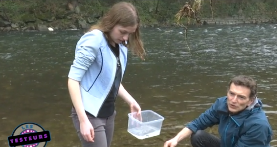 Les testeurs: qu'il était vert mon testeur (5)