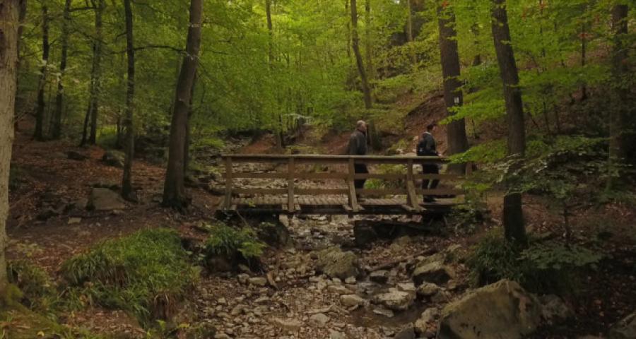 Ninglinspo : comment mieux protéger le site