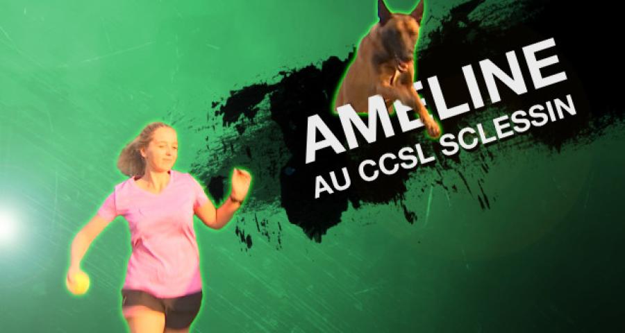 RTC fait son sport #7 - Agility 