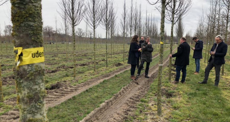 Tram En Commun S4#26 : sélection des arbres pour le tram