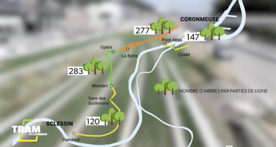 Tram En Commun S6#7 : la grande campagne de plantations arrive