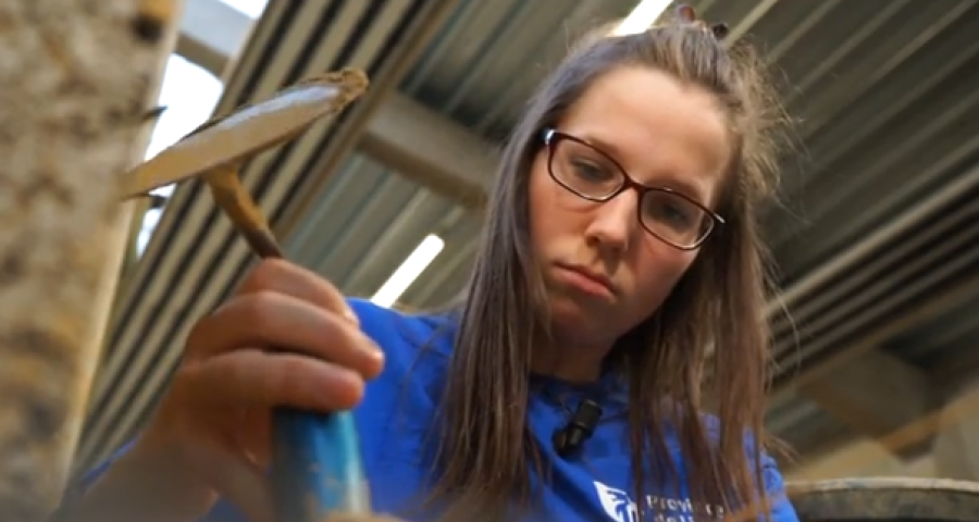 Un autre regard: la maçonnerie