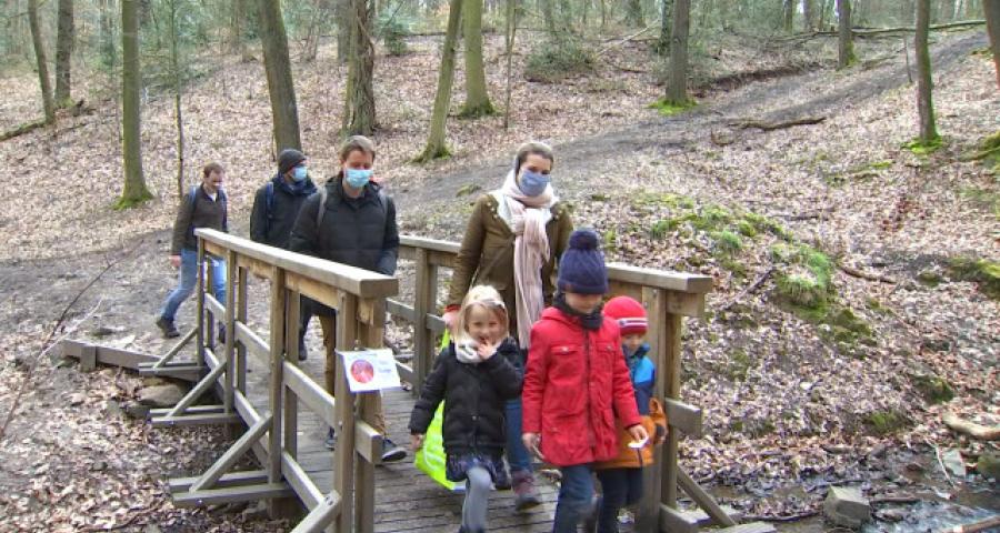 Visites guidées gratuites dans la réserve naturelle du Sart-Tilman